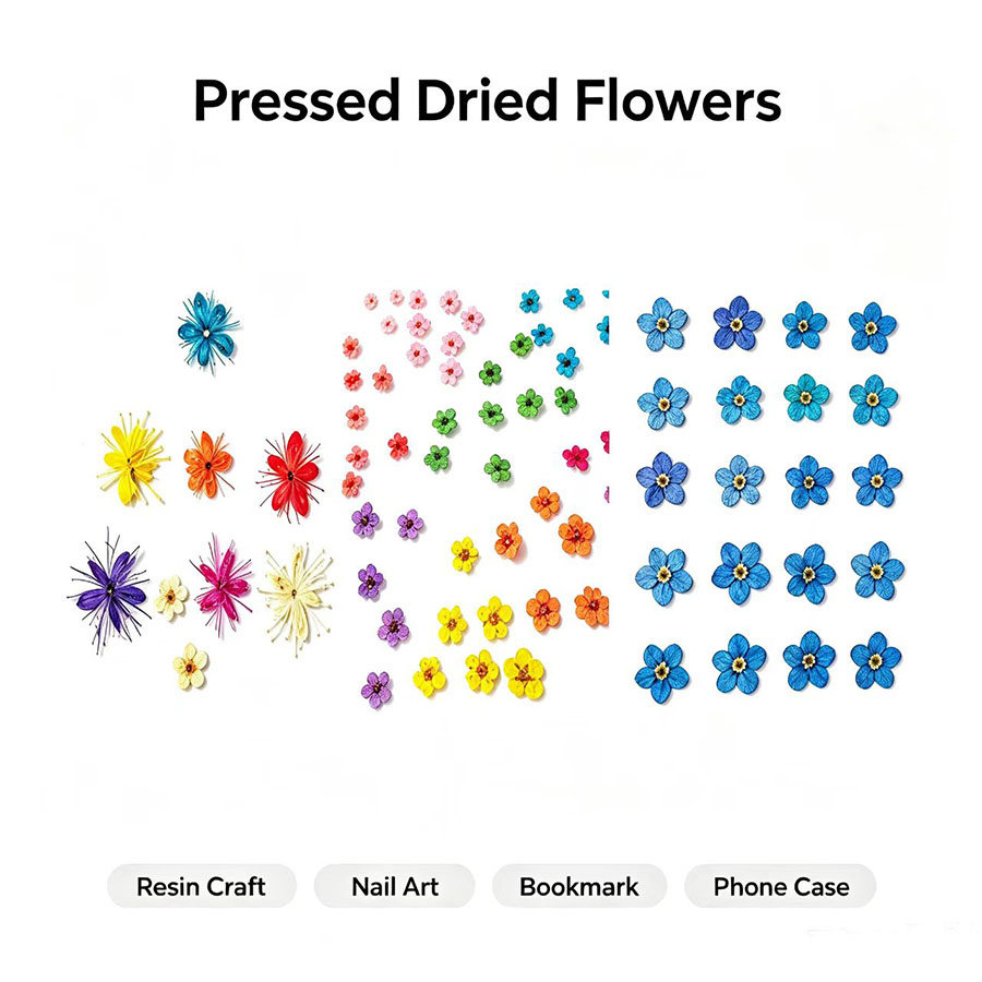 Resin Craft Ideas - 60pcs Mini Pressed Dried Flowers -