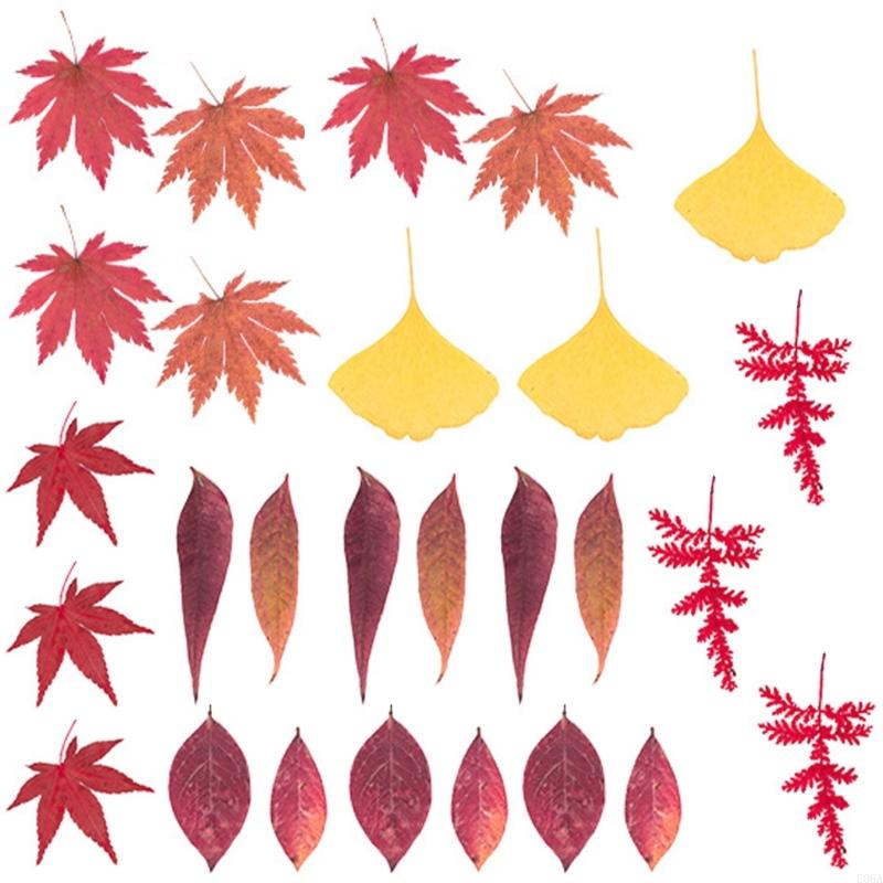 Natural Pressed Dried Flower F - Resin Craft Ideas ulasan dan harga