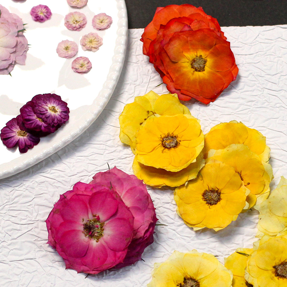 60 Yellow Mixed-size Pressed R - Resin Craft Ideas ulasan dan harga