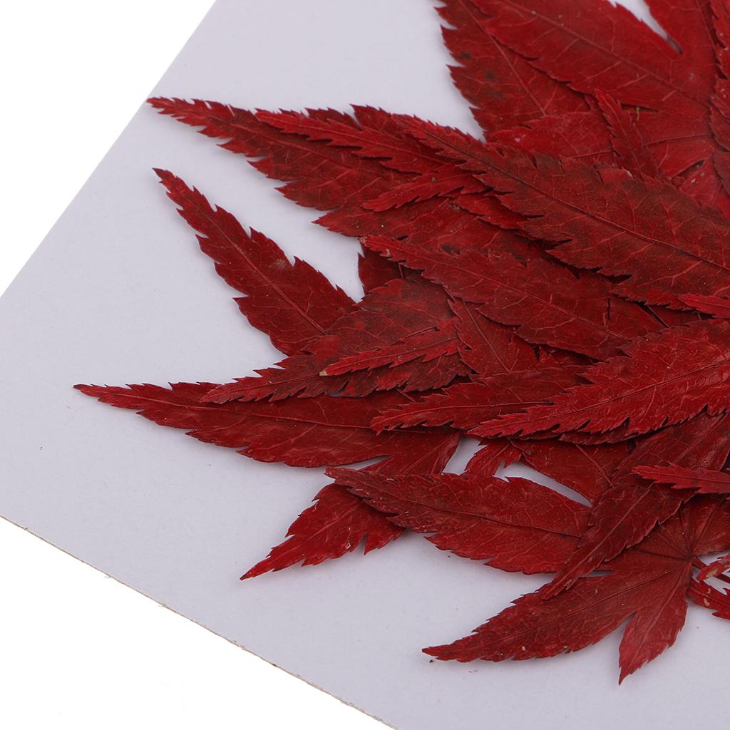 Dried Natural Flowers Crafts R - Resin Craft Ideas ulasan dan harga